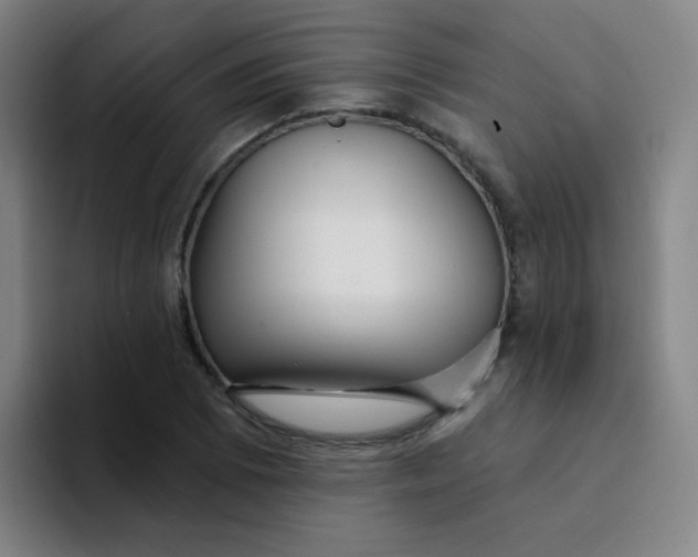 X0000094231073200711161904