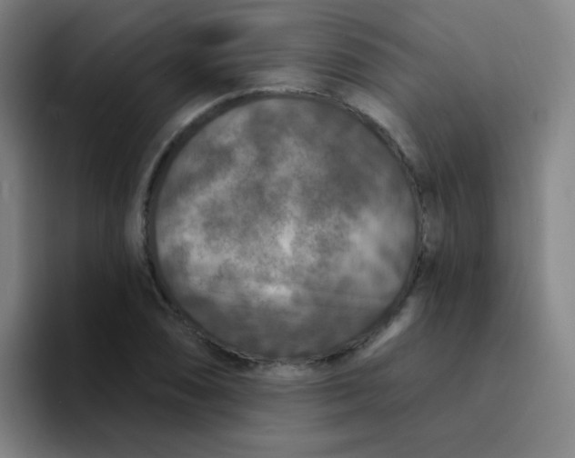 X0000094231074200711161904