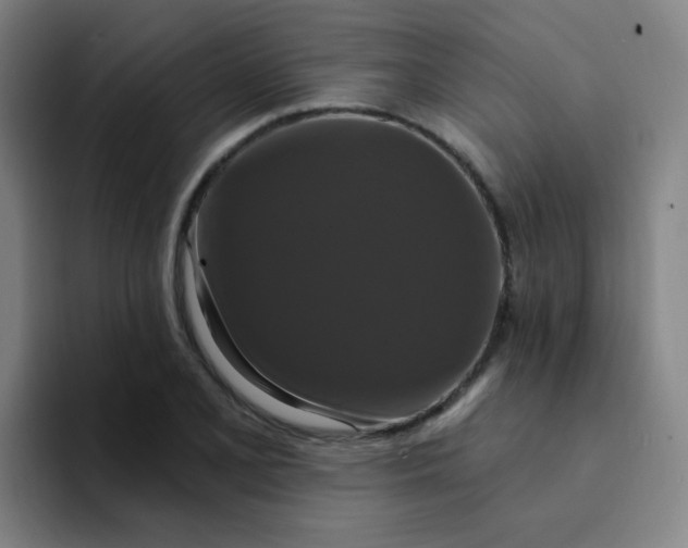 X0000094231077200711161904