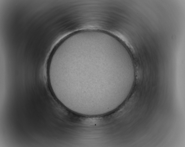 X0000094231078200711161904