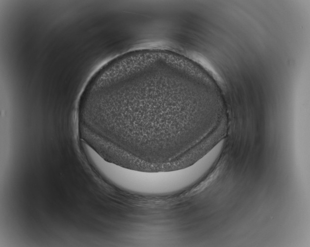 X0000094231079200711161904