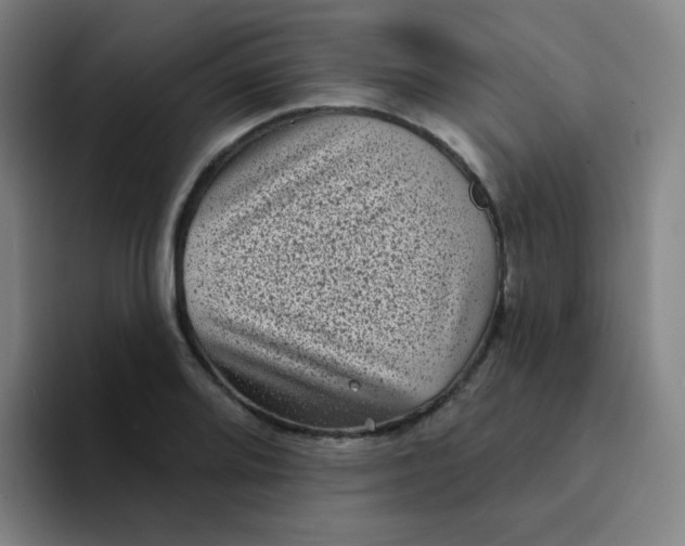 X0000094231080200711161904