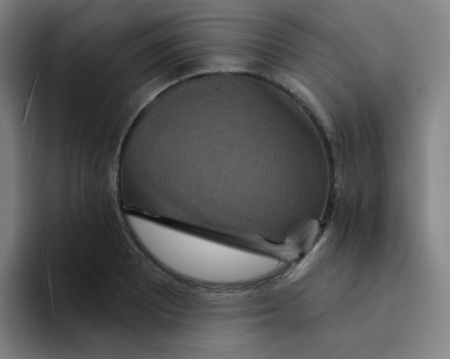 X0000094231081200711161904