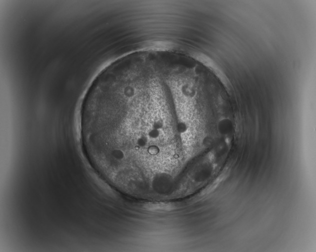 X0000094231083200711161904