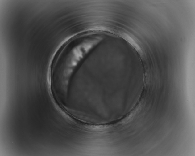 X0000094231084200711161904