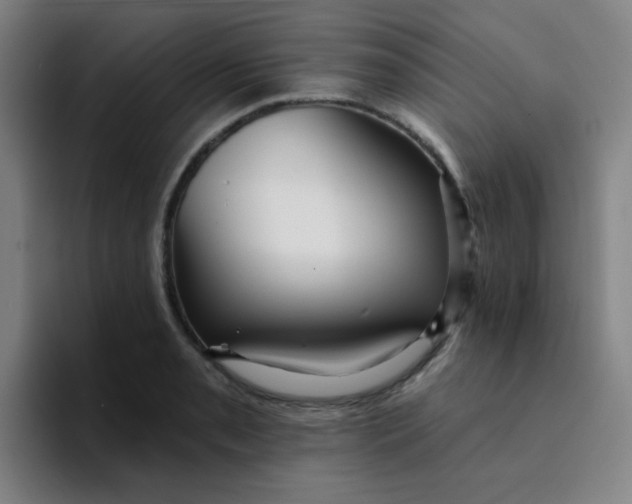 X0000094231085200711161904