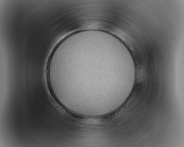 X0000094231086200711161904