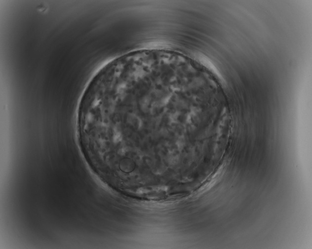 X0000094231087200711161904