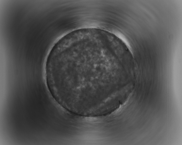 X0000094231088200711161904