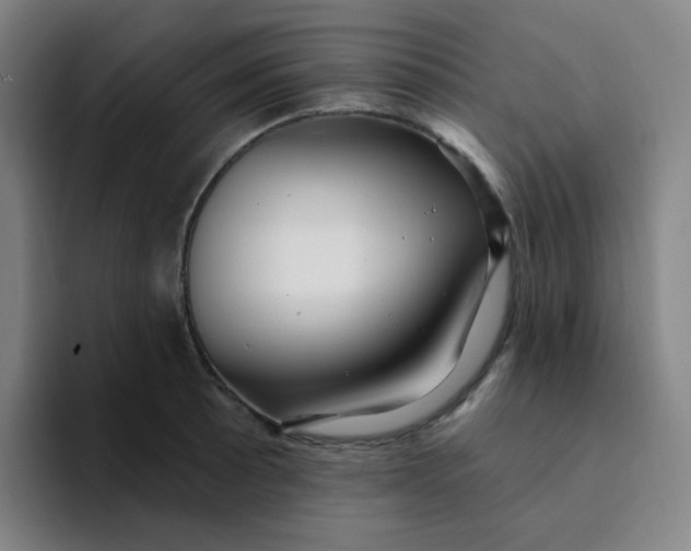 X0000094231089200711161904