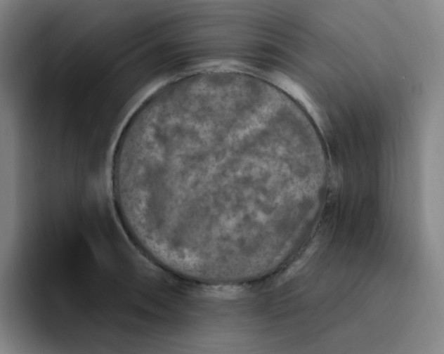 X0000094231090200711161904