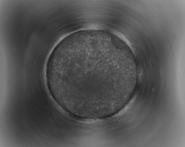 X0000094231091200711161904