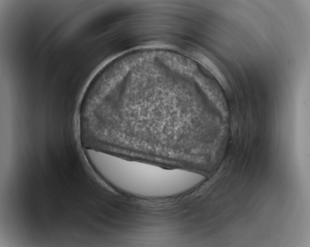 X0000094231092200711161904