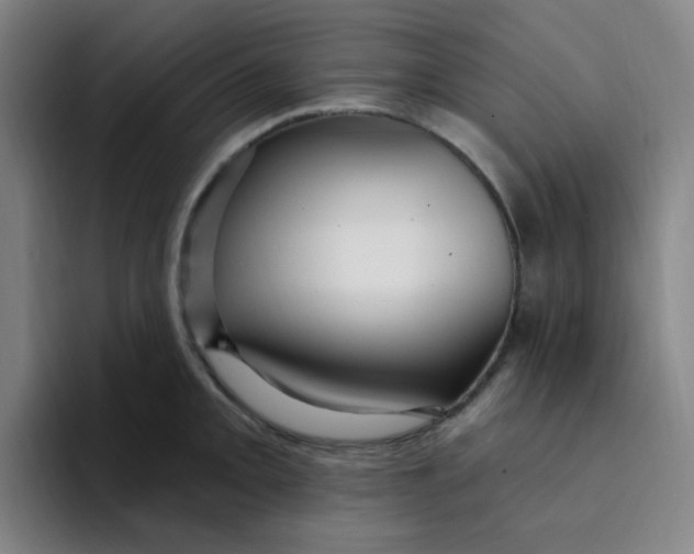 X0000094231093200711161904