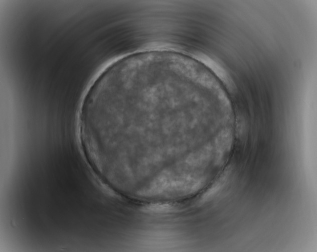 X0000094231094200711161904