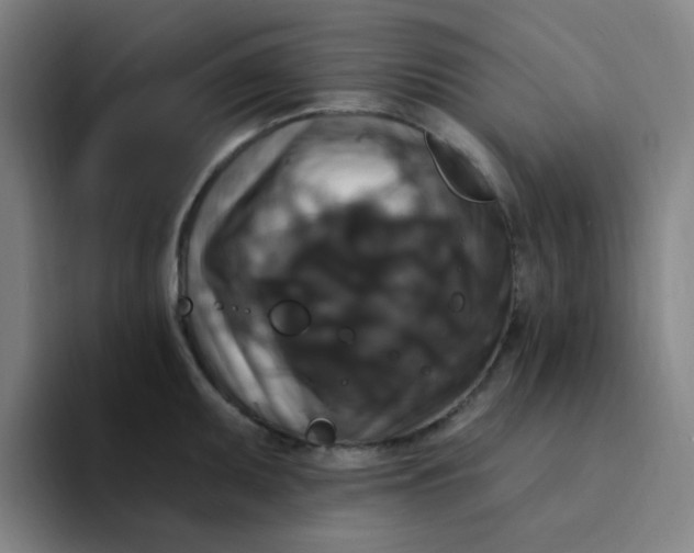 X0000094231095200711161904