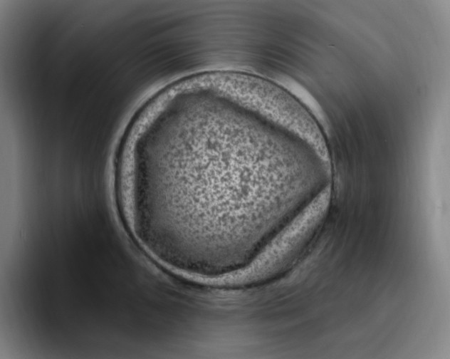 X0000094231096200711161904