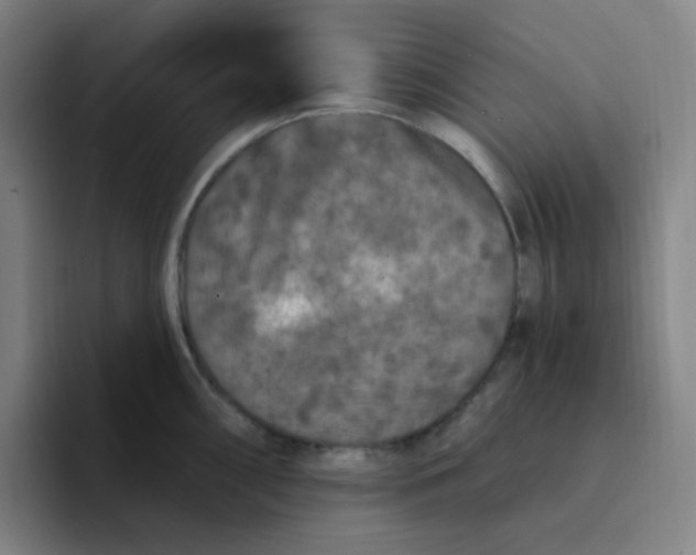 X0000094231098200711161904