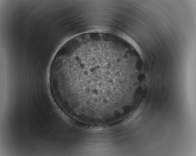 X0000094231099200711161904