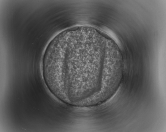 X0000094231100200711161904