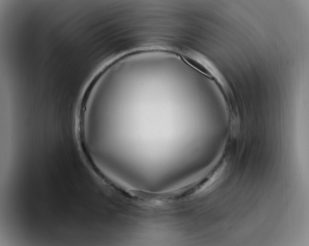 X0000094231101200711161904