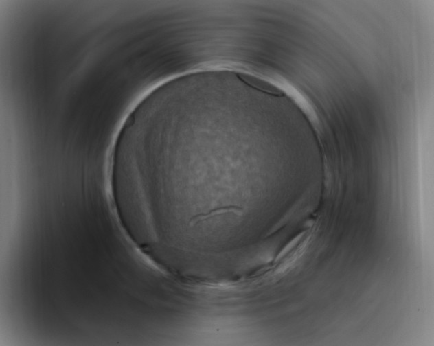 X0000094231102200711161904