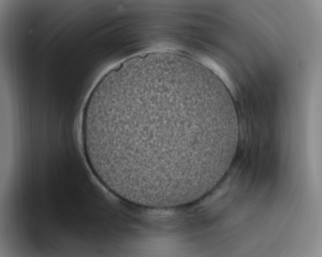 X0000094231103200711161904