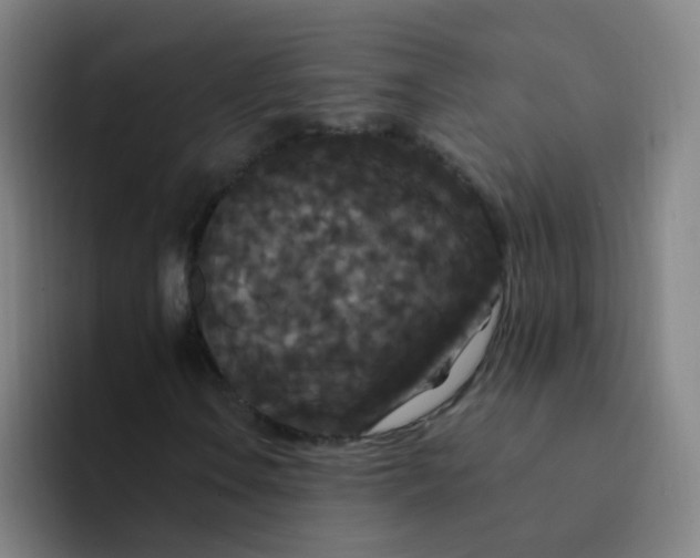 X0000094231106200711161903