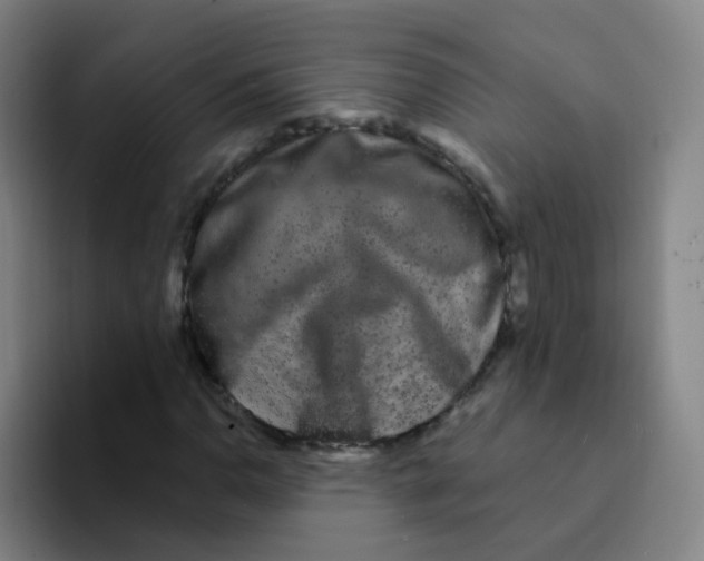 X0000094231110200711161904