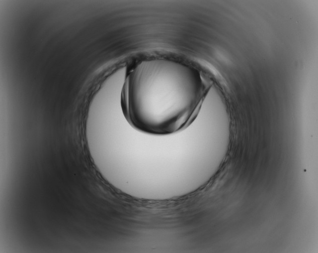 X0000094231112200711161904