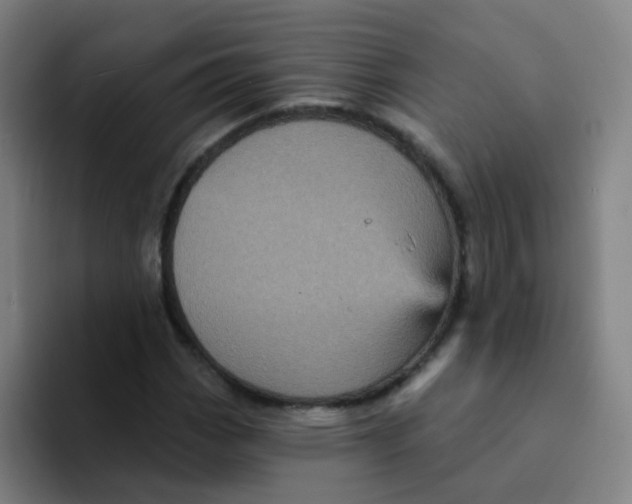 X0000094231113200711161904