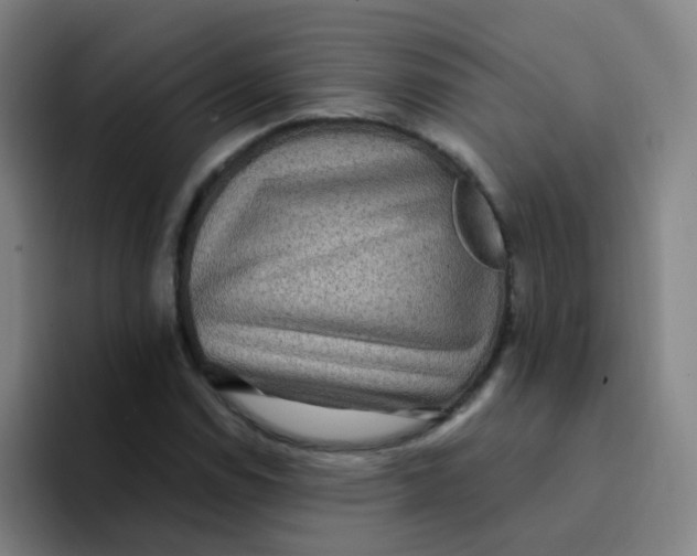 X0000094231114200711161904