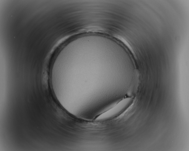 X0000094231115200711161904