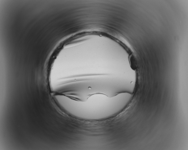 X0000094231116200711161904