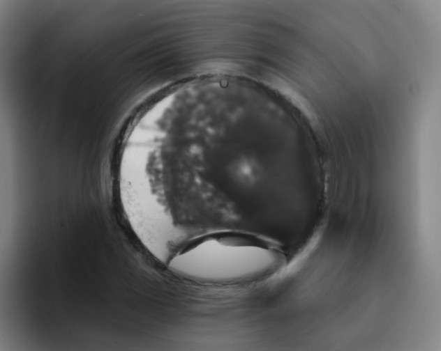 X0000094231117200711161904