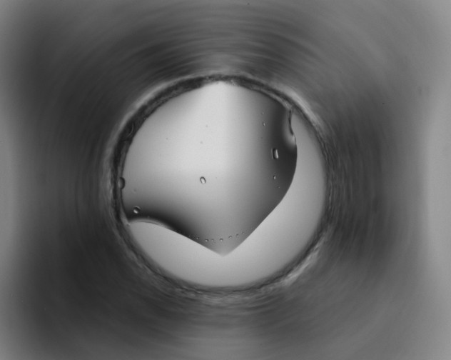 X0000094231118200711161904