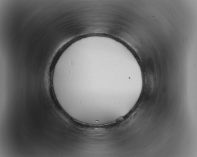 X0000094231119200711161904