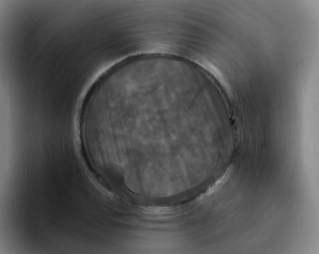 X0000094231120200711161904