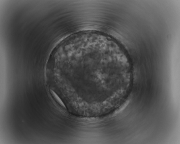 X0000094231121200711161904