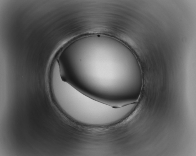 X0000094231122200711161904