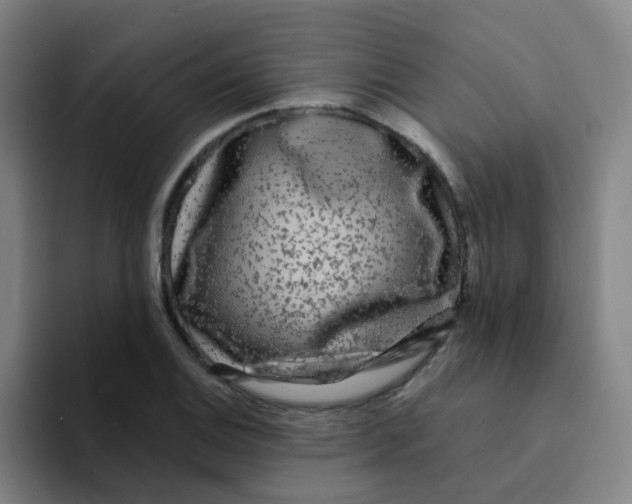 X0000094231124200711161904