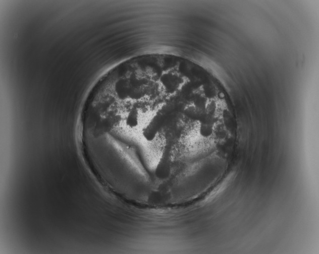 X0000094231125200711161904