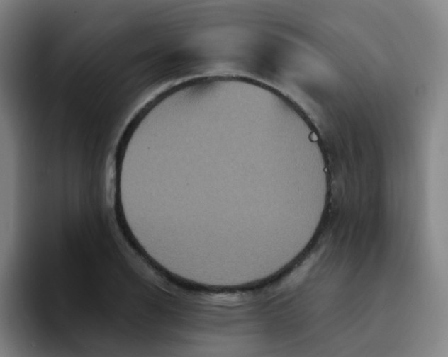 X0000094231126200711161904