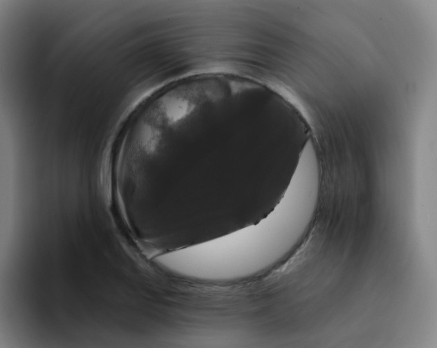 X0000094231127200711161904