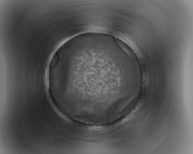 X0000094231128200711161904