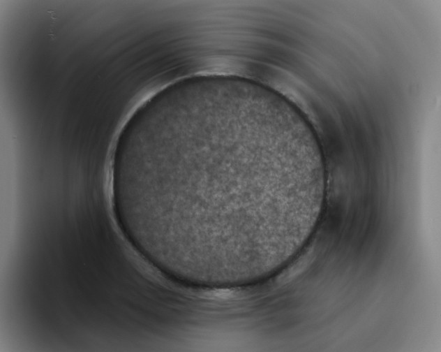 X0000094231130200711161904