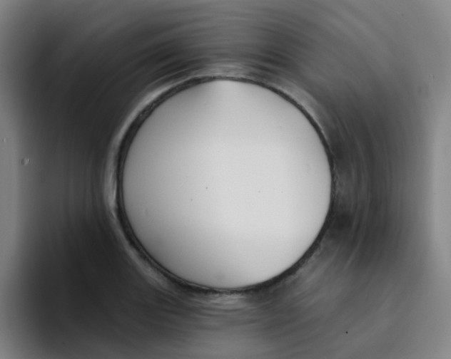 X0000094231131200711161904