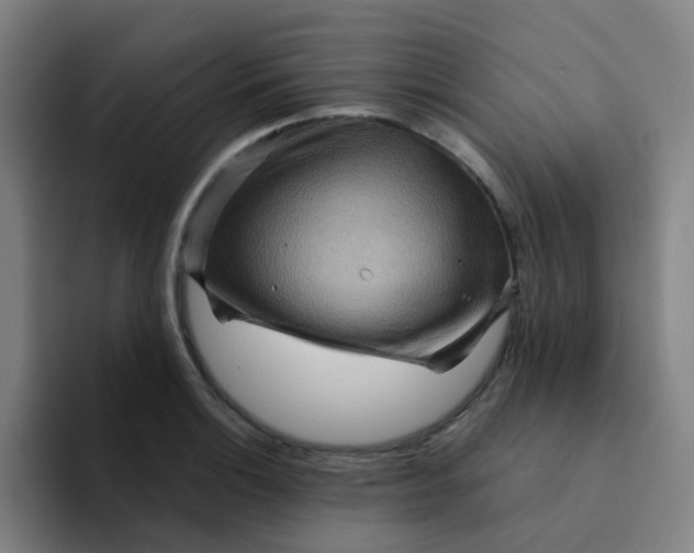 X0000094231132200711161904