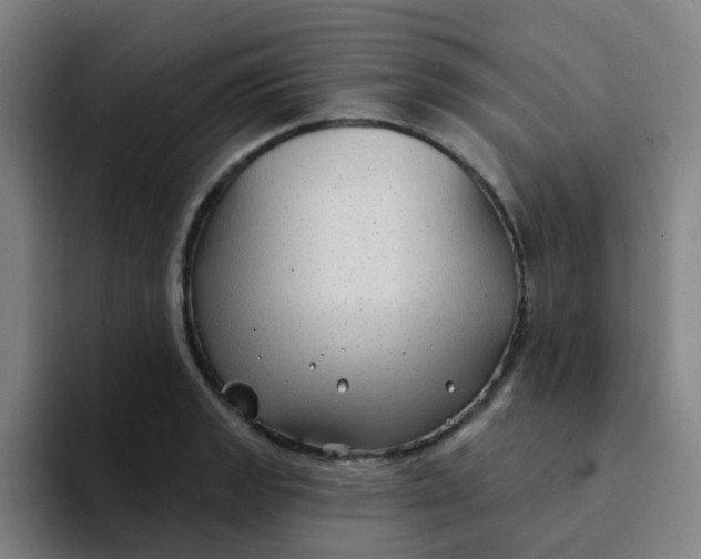 X0000094231133200711161904