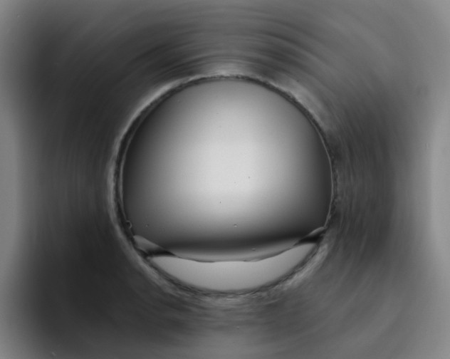 X0000094231134200711161904